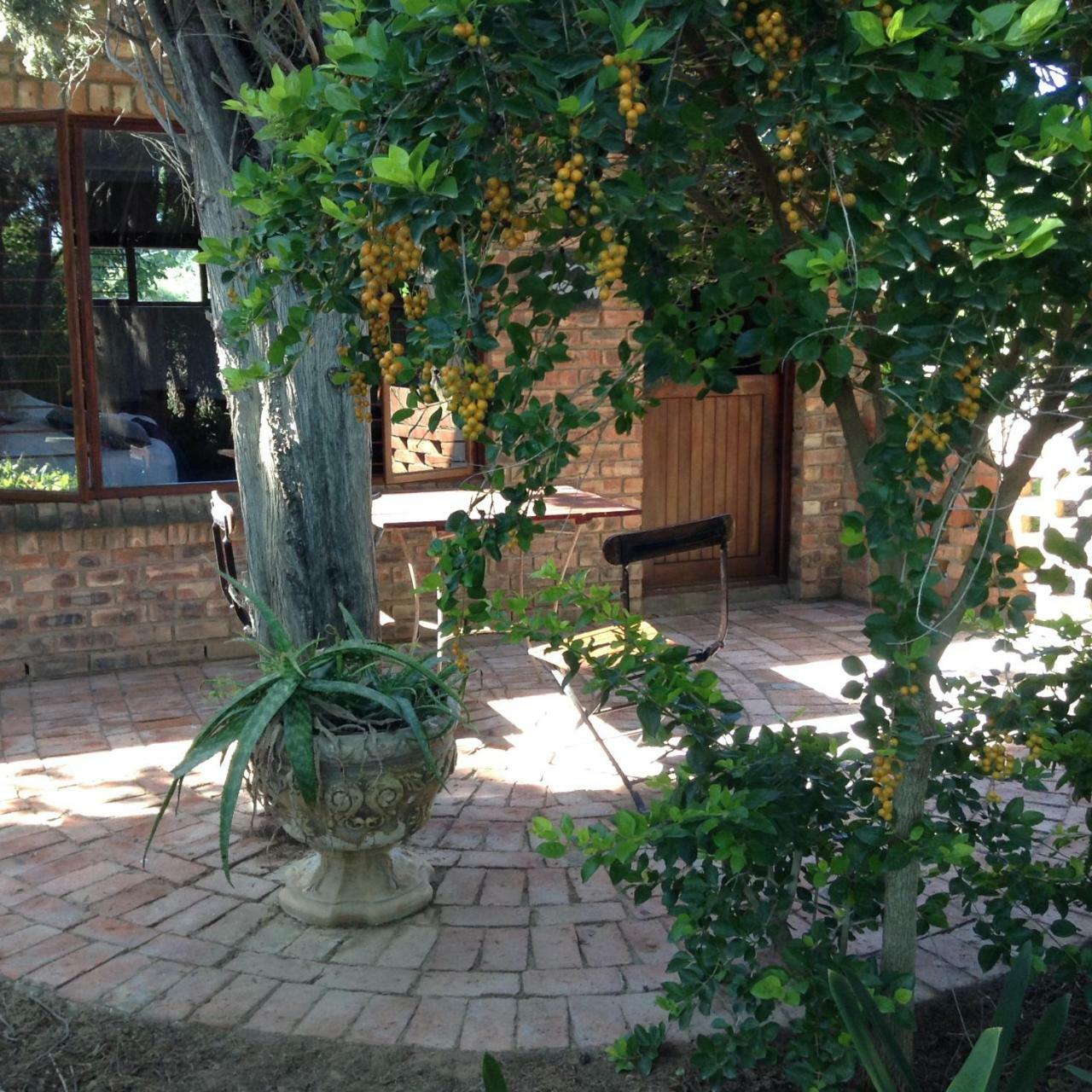 Gerald'S Gift Guest House Addo Zewnętrze zdjęcie